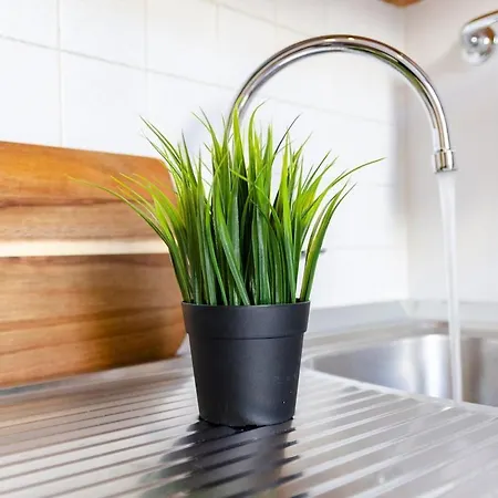 Апартаменты Cice In Veronetta *